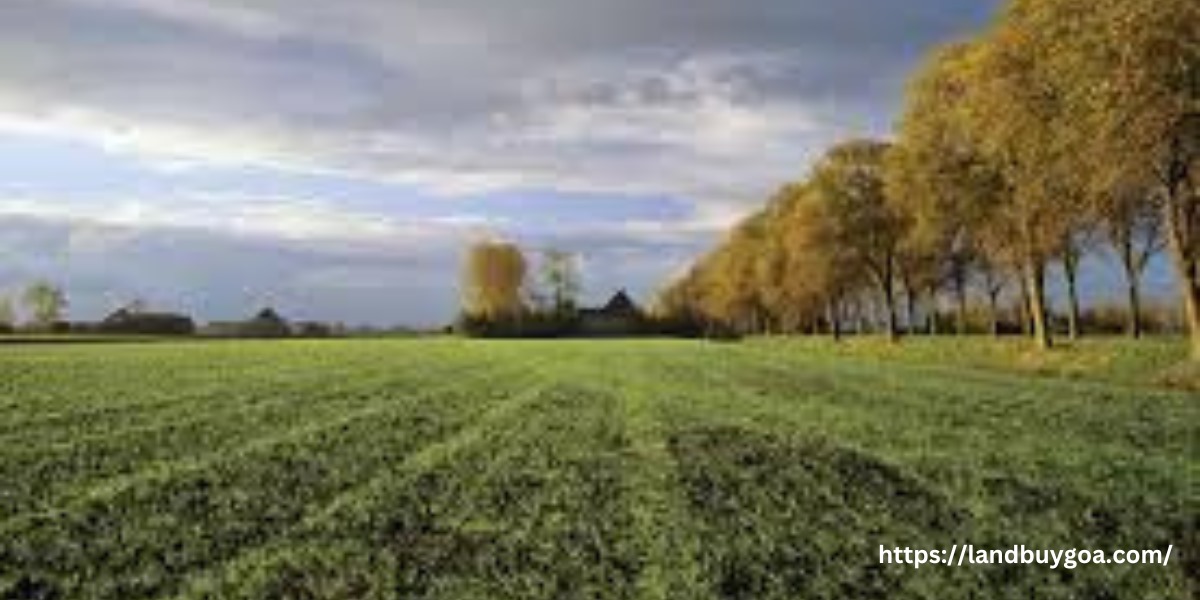Commercial Land For Sale In Goa Lets You Match Your Business To Goa’s Charm
